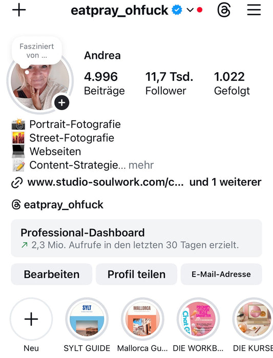 INSTAGRAM OHNE STRESS (SICHTBARKEIT, COMMUNITY, ECHTE HEBEL - ONLINEKURS - AM 22.02.2026